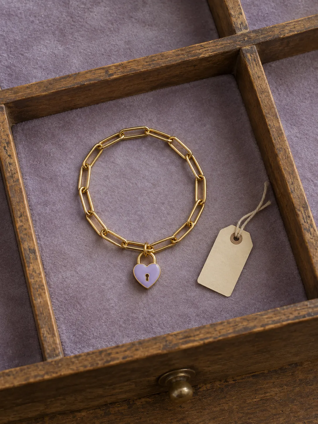Little Padlock Chain Bracelet — In the specimen drawer