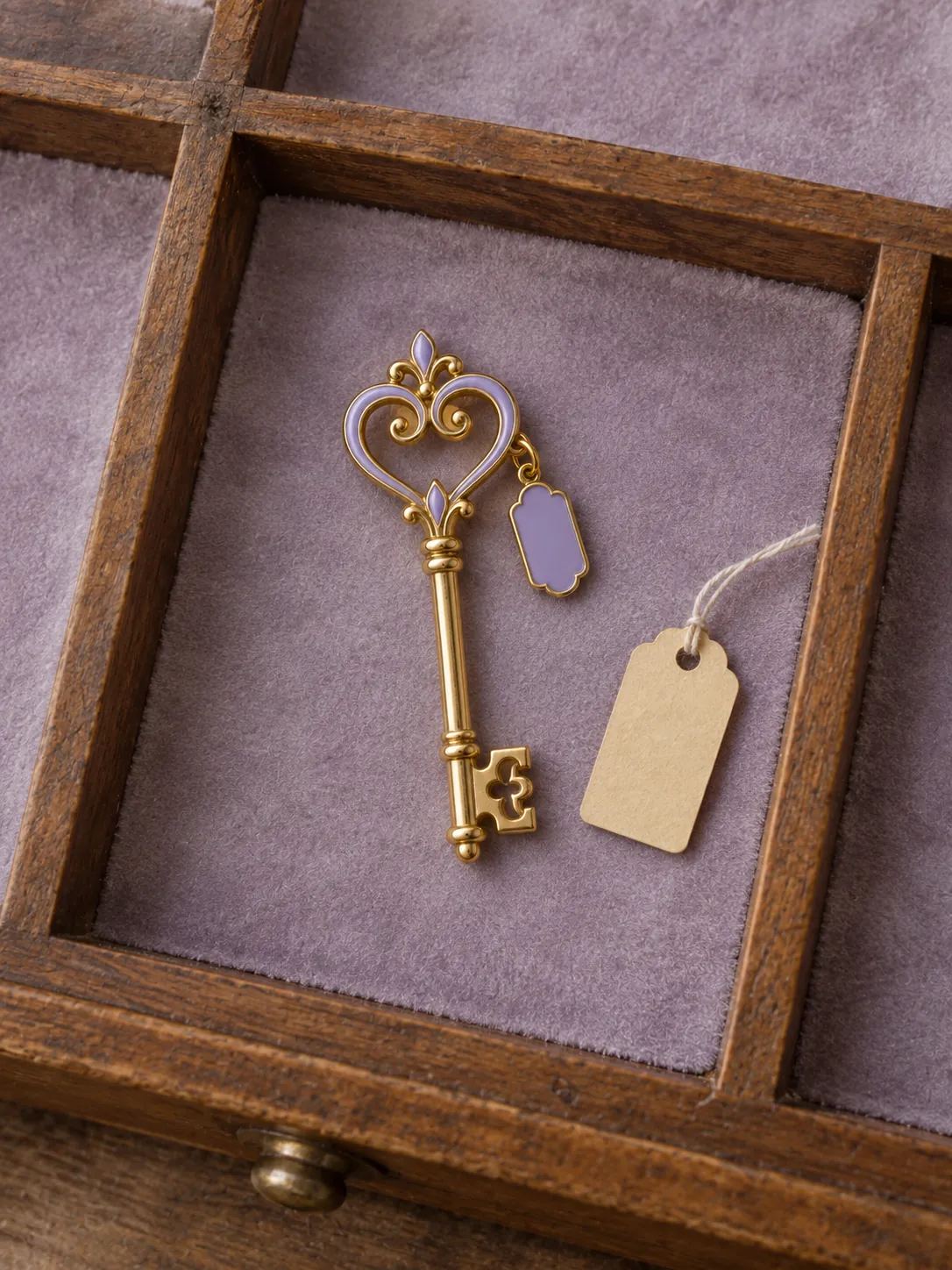 Lost Key Club Brooch — Dans le tiroir de collection