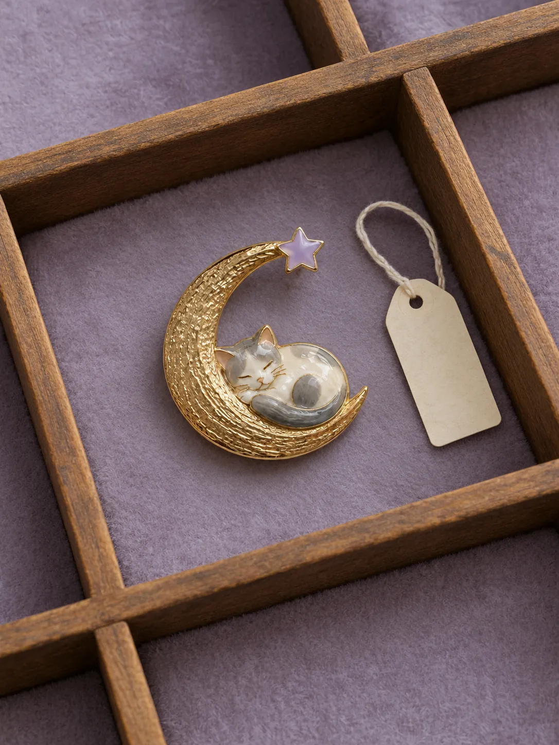 Moon Nap Brooch — In the specimen drawer