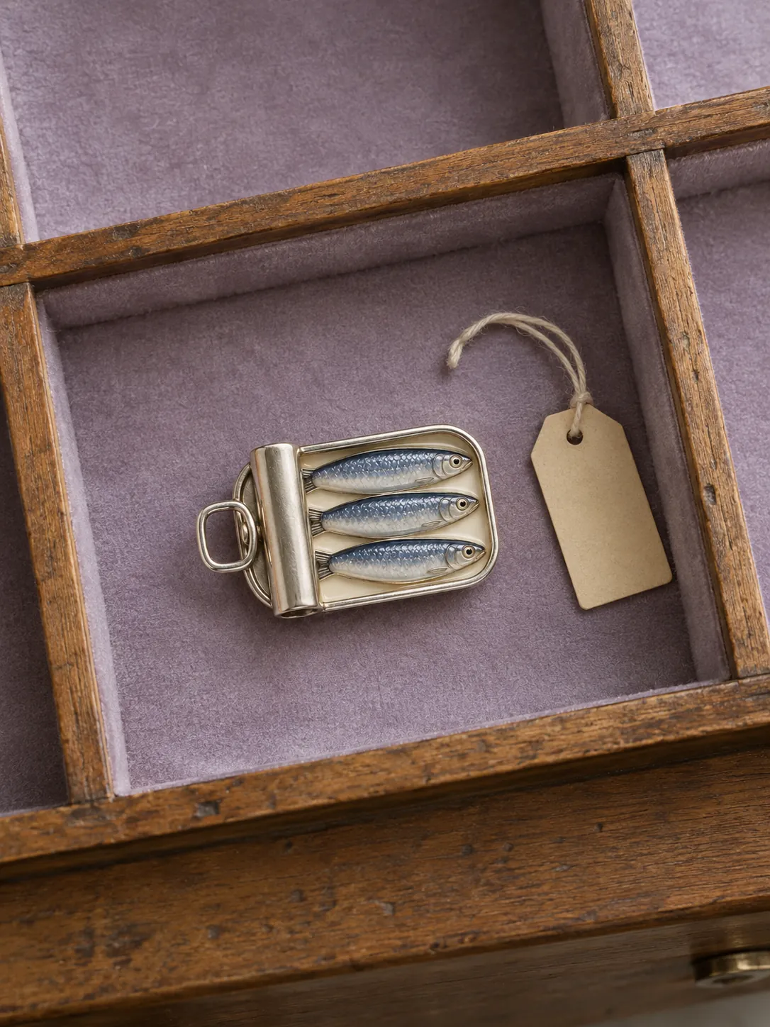 Sardine Tin Brooch — In the specimen drawer