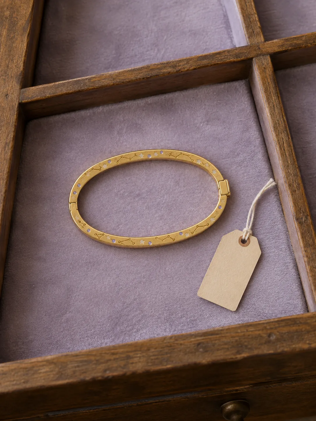 Star Map Hinged Bangle — In the specimen drawer