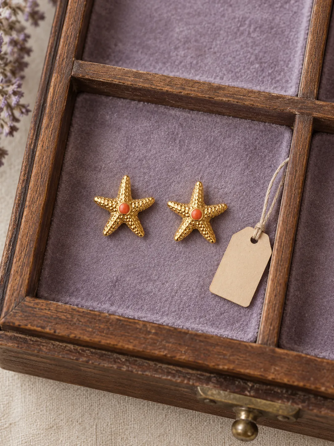 Starfish Studs — In the specimen drawer